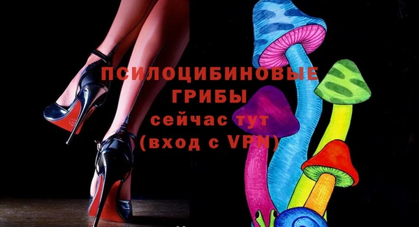 винт Михайлов