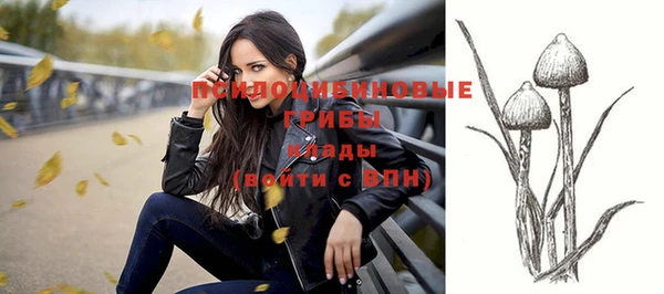 винт Михайлов