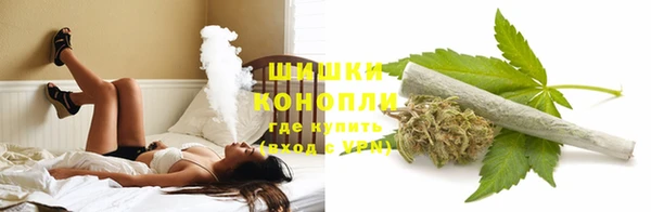 крисы Михайловка