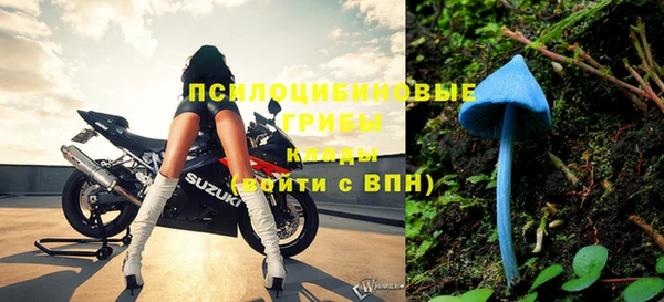 ALPHA PVP Михайловск