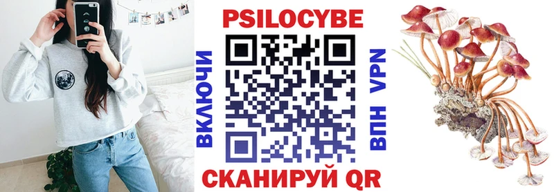 Псилоцибиновые грибы мицелий  Переславль-Залесский 