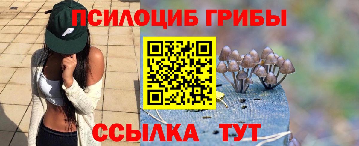 Псилоцибиновые грибы Psilocybine cubensis  Галлюциногенные грибы Psilocybine cubensis  Вход с VPN  Переславль-Залесский 